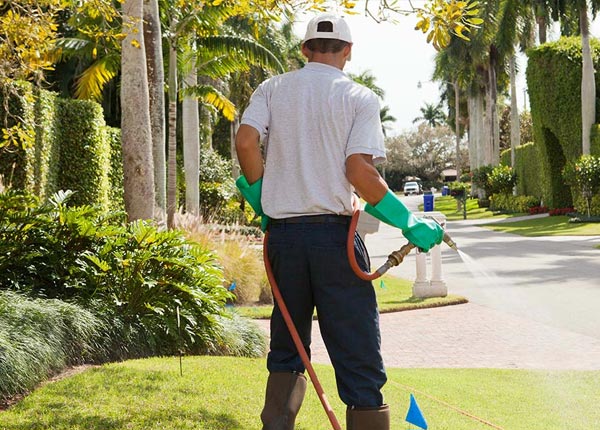 About Aurora IL Pest Control Pros